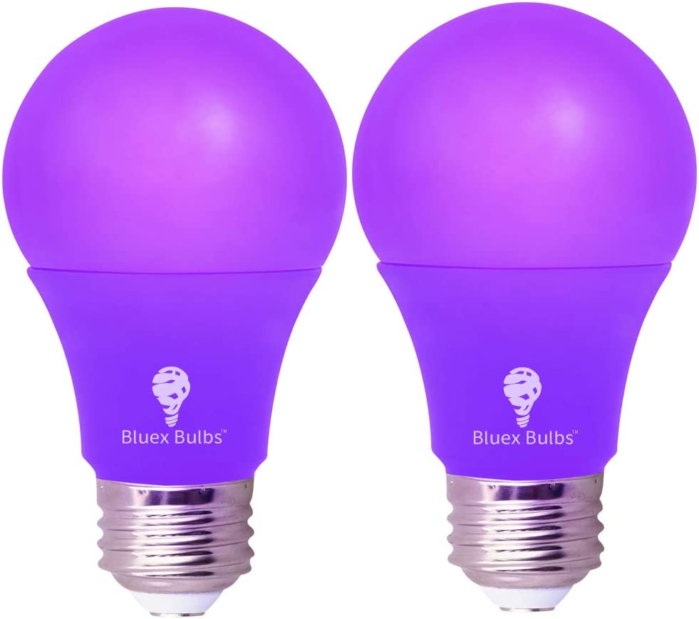 Purple bulbs