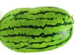 Watermelon Medium size
