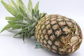 Pineapples