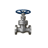 Global valve
