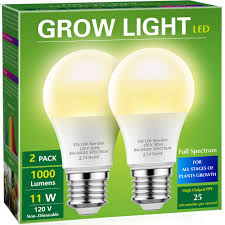 Bulbs