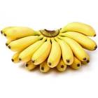 Sweet Bananas