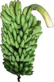 Matooke