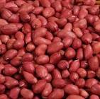 Ground Nuts
