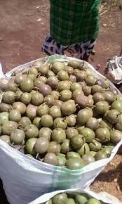 Passion Fruits 1Kg