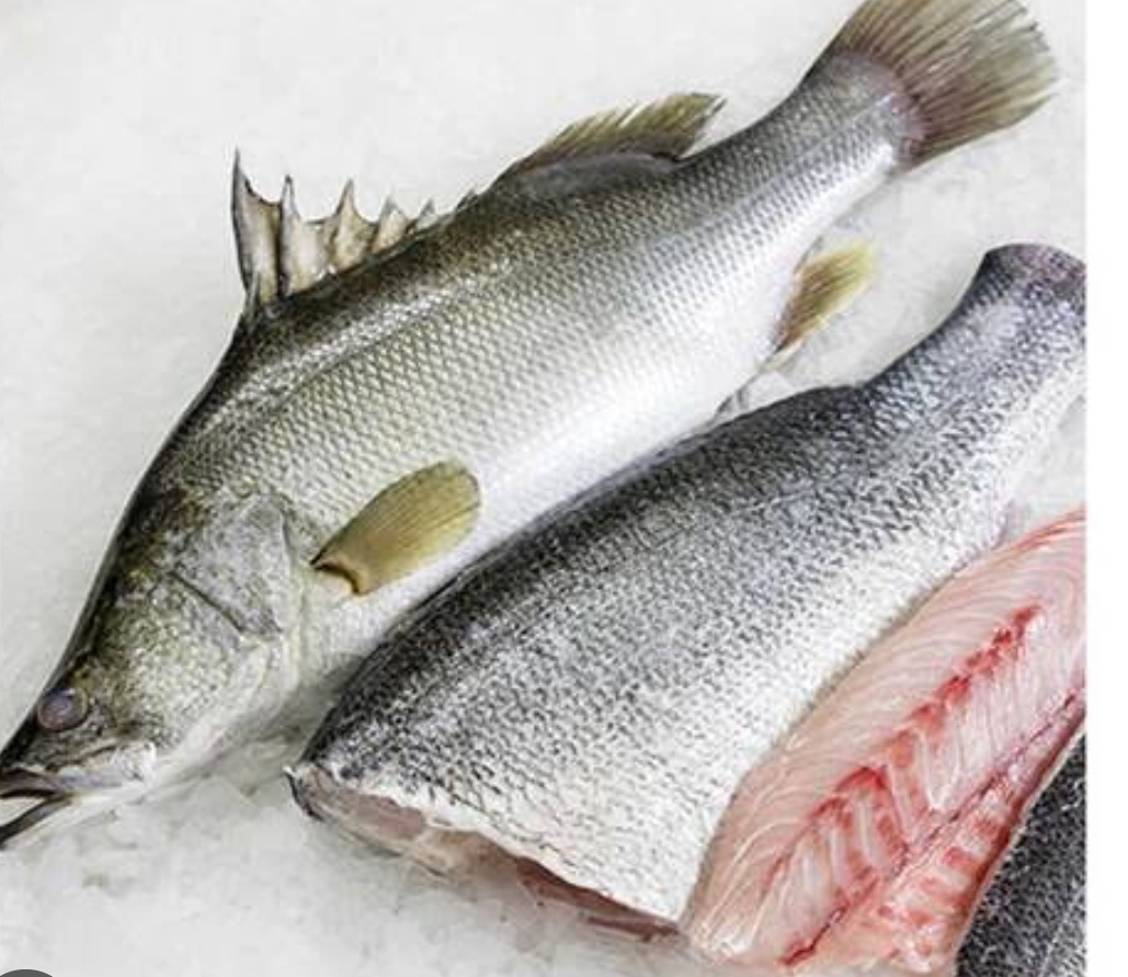 Fresh Nile perch