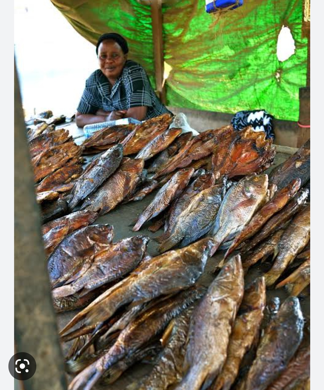 Smoked Nile perch