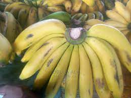 Cavendish Bananas (Bogoya)