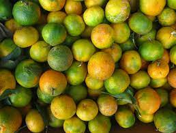 Oranges 1 kg