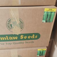 Okra seeds 100g Clemson Spineless
