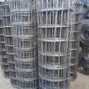 PRAMUKH BRC A124X48MTRS......RIBBED(2.4)